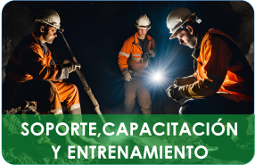 Soporte, Capacitación y Entrenamiento